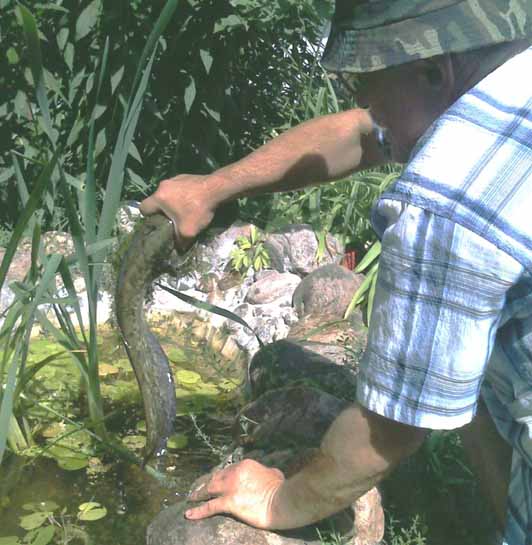 hand Fishing