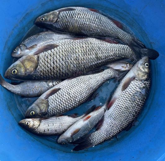hand Fishing