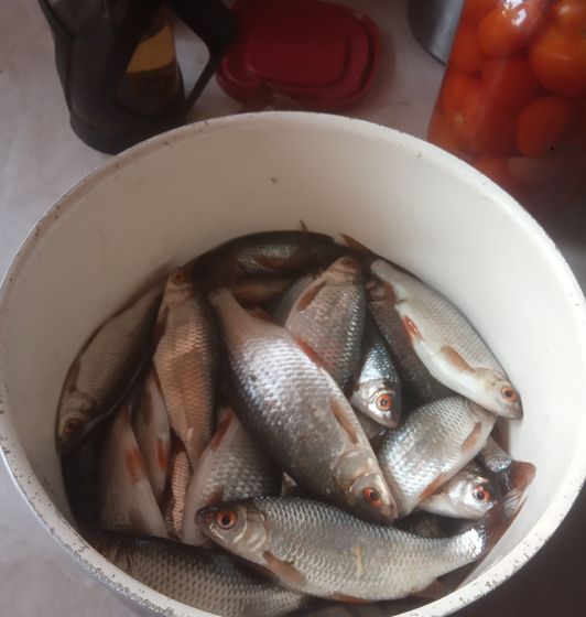 hand Fishing