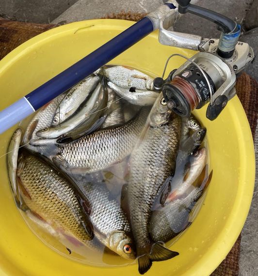 hand Fishing