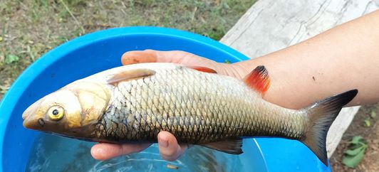 hand Fishing