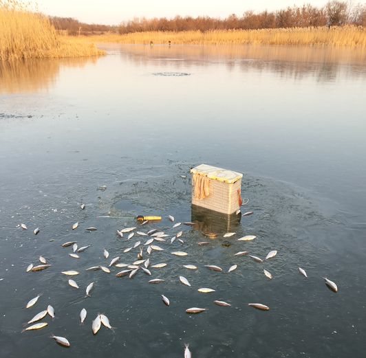 hand Fishing