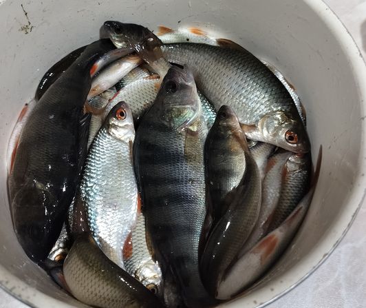 hand Fishing