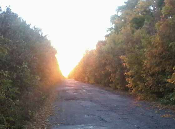 Дорога в Семенівку